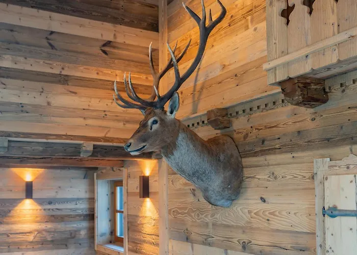 Spykerhuette 펜션 라우리스